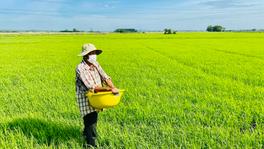 Giá Đất Ruộng Hiện Nay Bao Nhiêu? [Cập Nhật 2023]