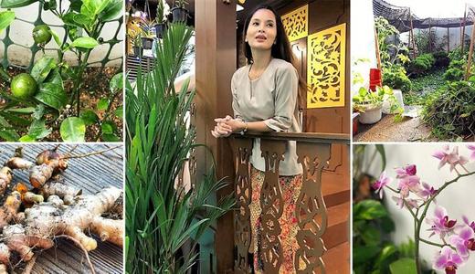 Tip berkebun di balkoni bersama Daphne Iking