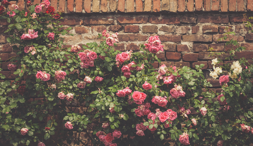 4 ways to landscape your garden with inspiration from famous paintings