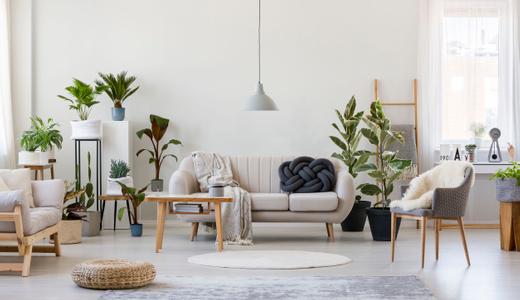 4 easy living room feng shui tips for the ultimate good vibes