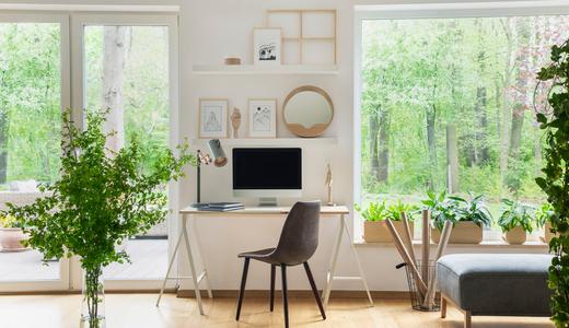 Beginner's guide to improving your home's feng shui