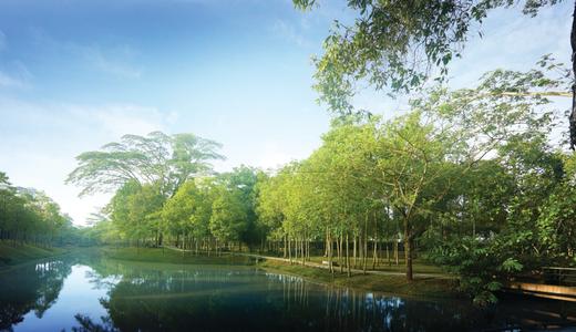 Behold, Johor Bahru’s most stunning place to live in 2021