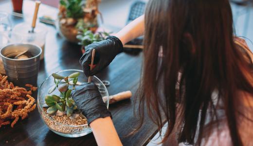 Terrarium: Cara penjagaan supaya tahan lebih lama dan mitos di sebaliknya