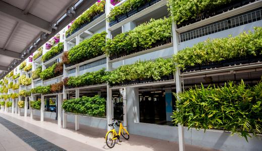 Earth Day 2023: 5 Sustainable Practices That Also Save Money