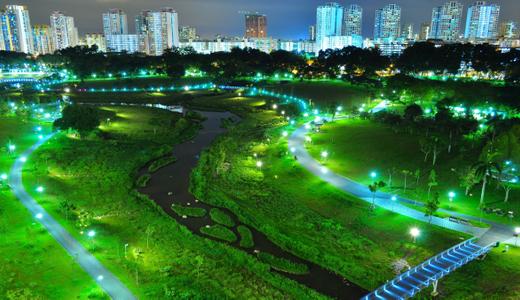 Top 8 Houses with Views of Greenery in Singapore (Including Eco-friendly Features!)