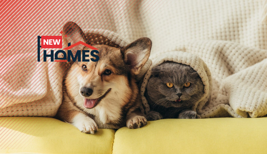 4 Pet-Friendly New Launches Perfect for Fur Parents in KL and Selangor