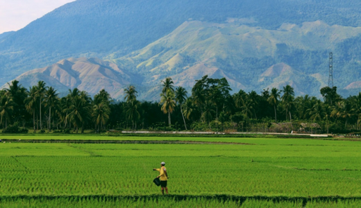 Agraria Adalah Hal Terkait Kepemilikan Lahan. Simak Selengkapnya!