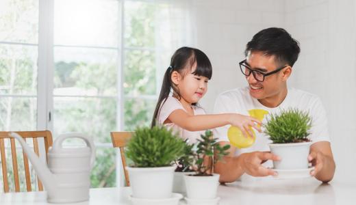 7 ไม้ประดับ ที่ควรปลูกในบ้าน เพิ่มความสดชื่นให้บ้านน่าอยู่