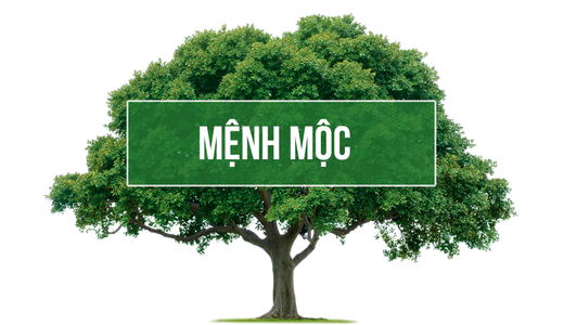 Mệnh Mộc Hợp Màu Gì Và Không Hợp Màu Gì Năm 2023?