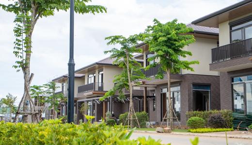 Nhu Cầu Mua Căn Hộ, Đất Nền và Biệt Thự Long An Tăng ‘Đột Biến’ Trong Tháng 12/2023