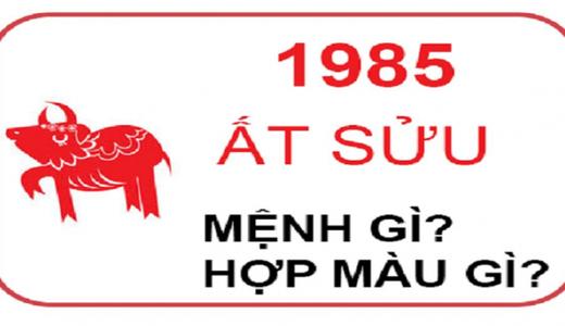 1985 Mệnh Gì? Hợp Màu Gì? Xây Nhà Năm 2025 Có Tốt Không?