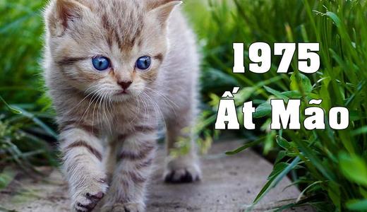 1975 Tuổi Con Gì? Làm Nhà Năm 2025 Có Tốt Không?