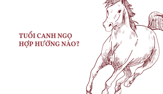 Tuổi Canh Ngọ Hợp Hướng Nào? Hướng Nhà Nào May Mắn, Tài Lộc?