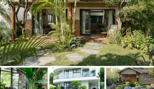 Những Cây Kiêng Kỵ Trồng Trước Nhà - Giải Mã Dưới Góc Nhìn Phong Thủy
