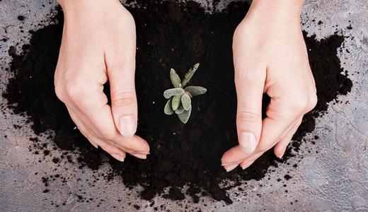 Khám Phá Ý Nghĩa Phong Thủy Của Các Loại Mệnh Thổ