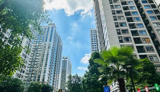 Chung Cư Hà Nội Chững Lại: Giá Neo Cao, Thanh Khoản Giảm Sau Giai Đoạn Tăng Nóng