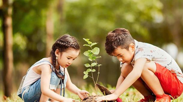 50 Năm Gamuda Berhad Và Hành Trình Phát Triển Đô Thị Tại Việt Nam