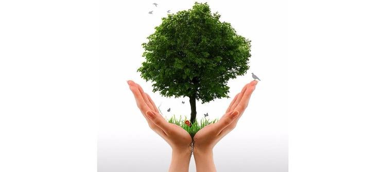 Enough Talk, Let’s Do Something About Sustainability