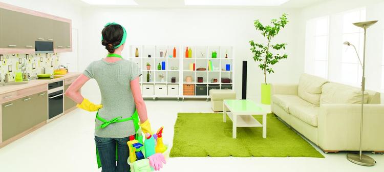 The keep your home clean guide