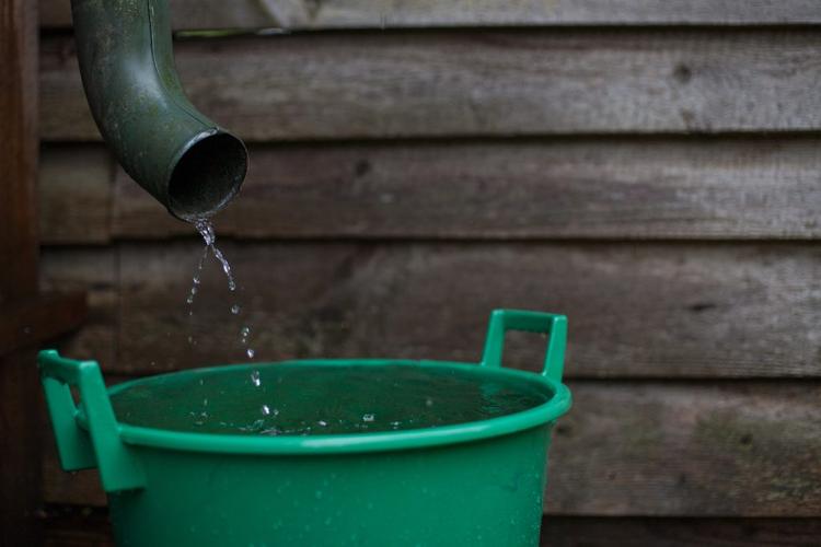 Collecting rain water in a pail.