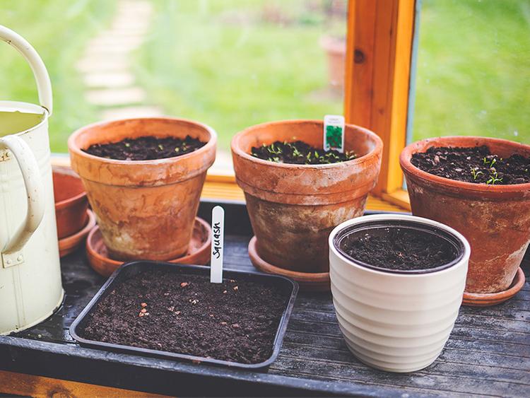 A Beginner’s Guide To Composting At Home - Iproperty.com.my