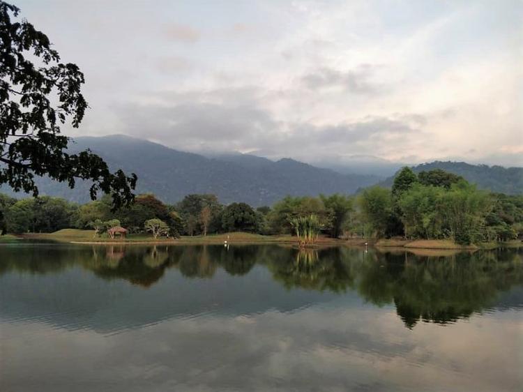 taiping-lake-gardens