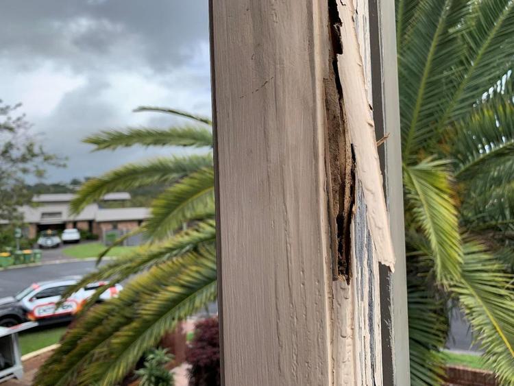 Signs of termites infestation - Damaged wood or Hollowed wood