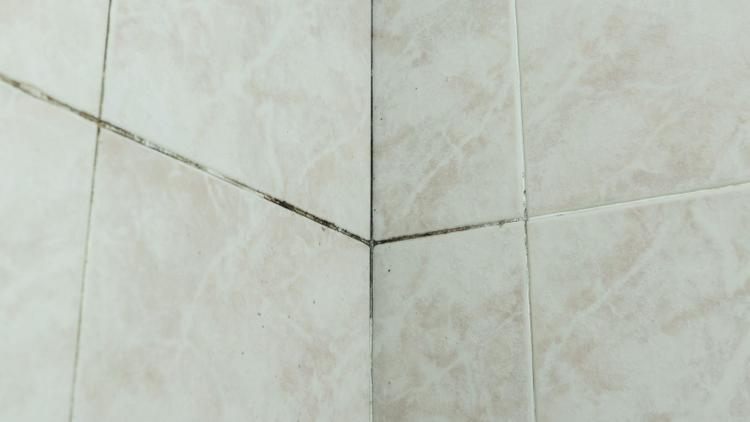 Mold-tile-joints-corner-fungus-due-to-condensation-moisture-problem