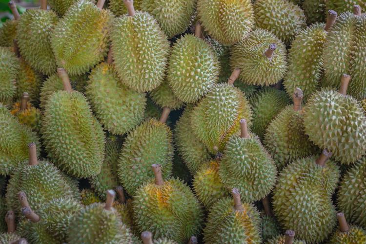 Group of durians, durians background.