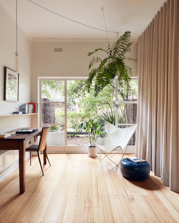 home interior with study desk, indoor plants and curtain partition