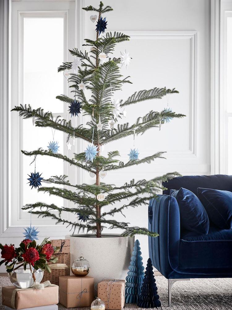 Straight-from-Nature-christmas-tree