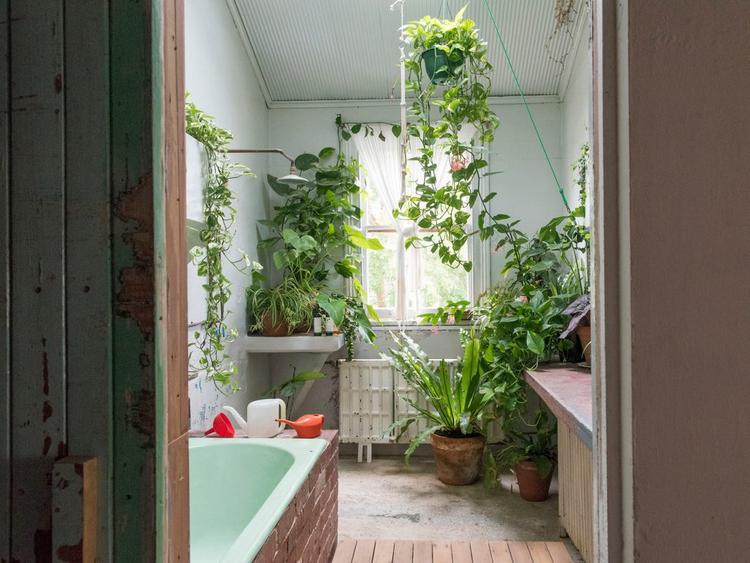 Mistake 3: Constantly changing the location of your indoor plants