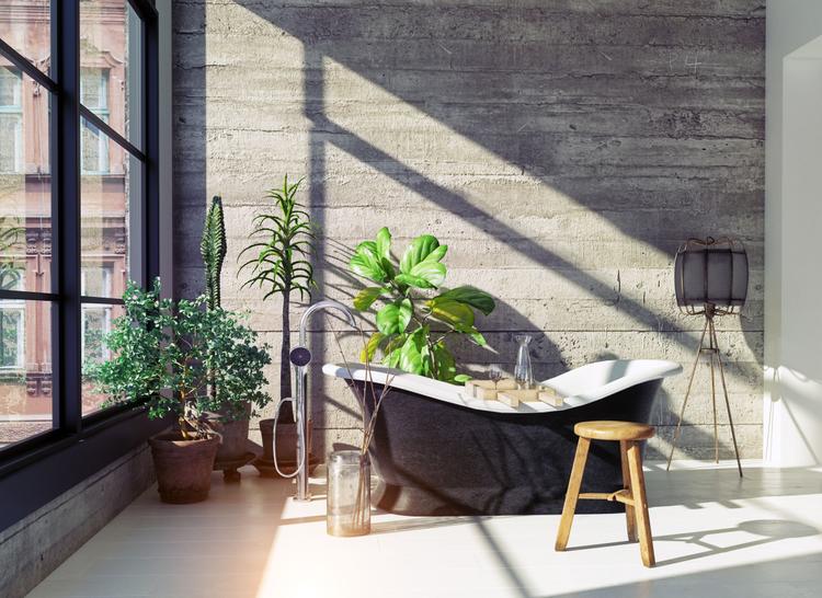 modern bathroom interior with indoor plants and bathtub