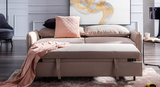 Harvey Norman's Sofa Bed