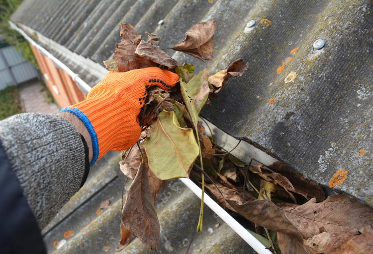 Rain Gutter Cleaning from Leaves in Autumn
