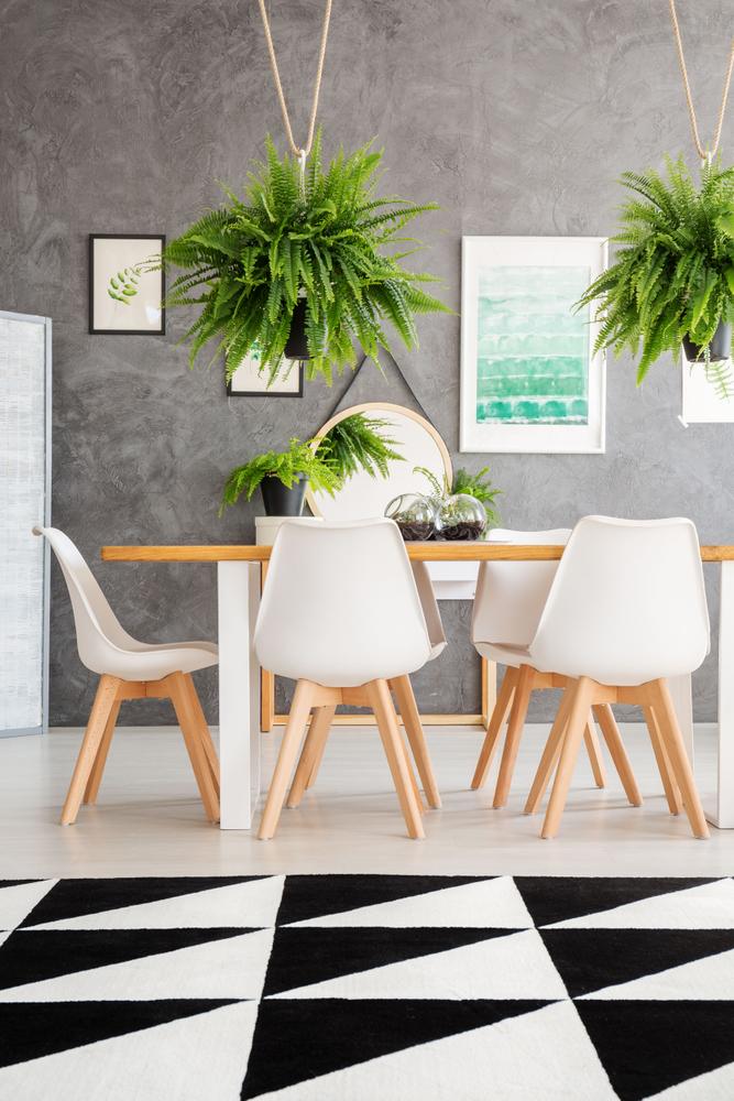 Cozy dining room interior with hanging plants