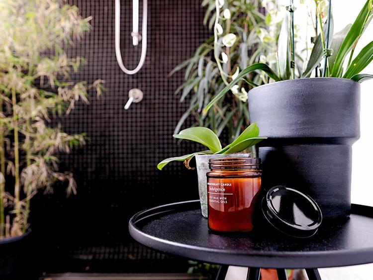 Your guide to creating a toxinfree home