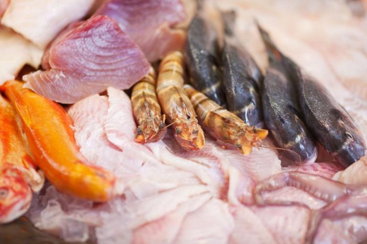 fresh seafood