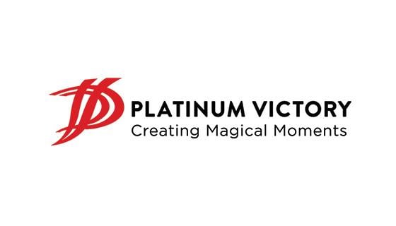 Platinum Victory Development 官方标志