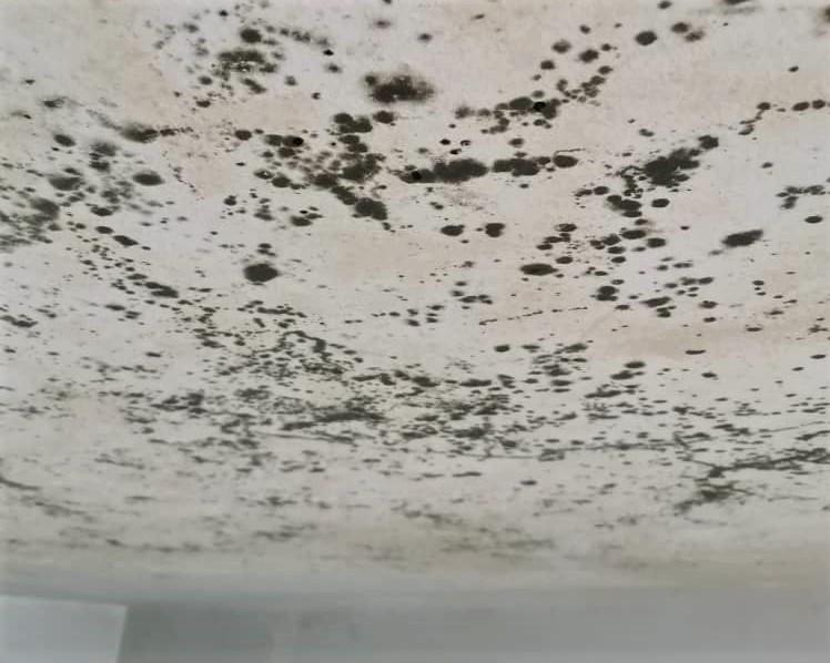 Mould-Contamination-inter-floor-leakage