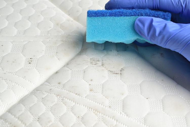 mould on ffabric