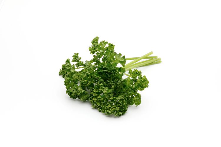 curly parsley or english parsley 