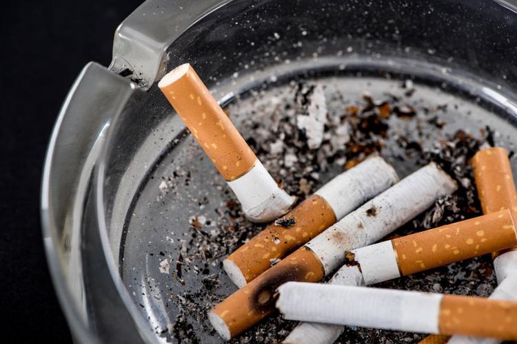 What Absorbs Cigarette Smoke: How to Get Rid of It Indoors - Molekule