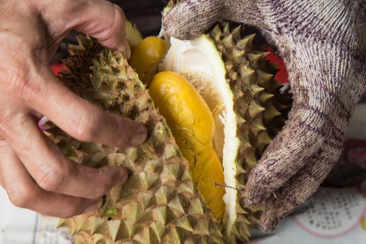 how-to-store-durian-in-fridge