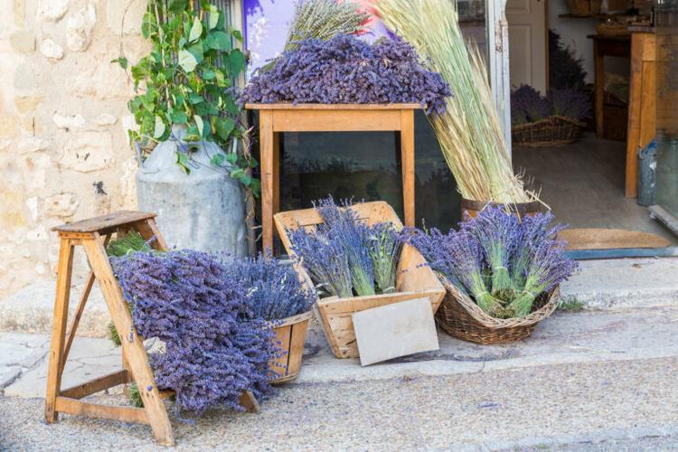 plant-lavender-sold-in-souvenir-shop