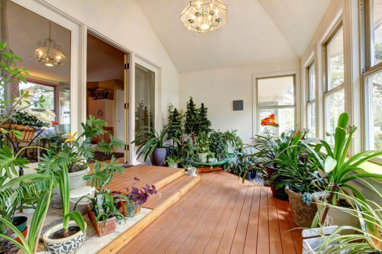 house-full-of-plants-and-flowers-indoor