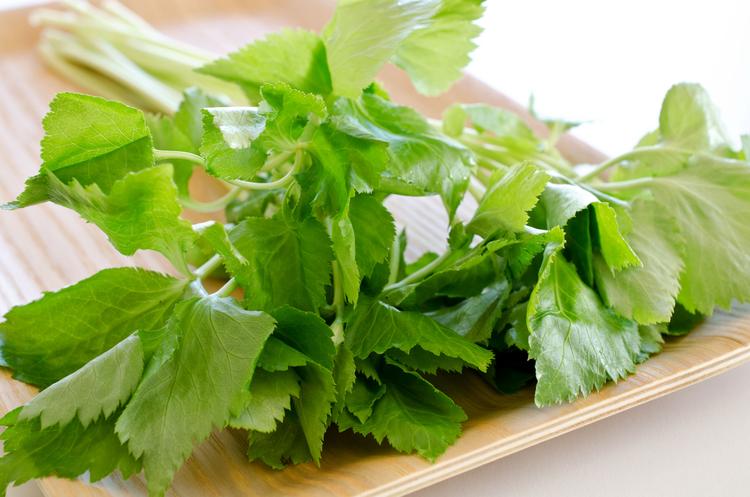 Pasli Jepun (Japanese parsley)