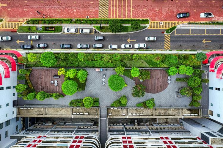 Aerial view of a rooftop garden and the roadside