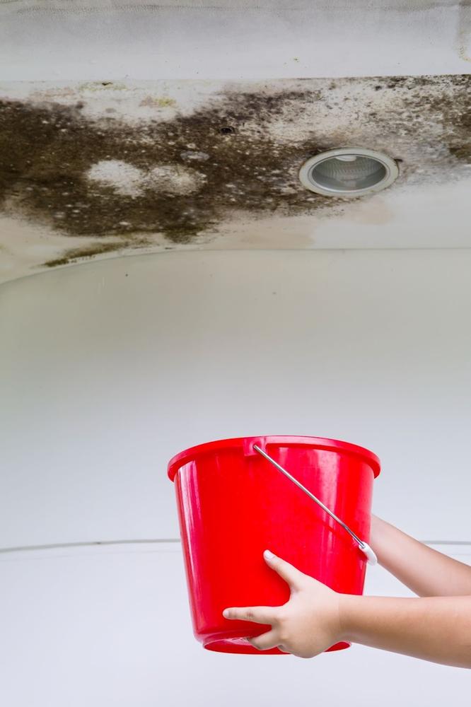 Collecting water drops in a red bucket from a leaking ceiling 