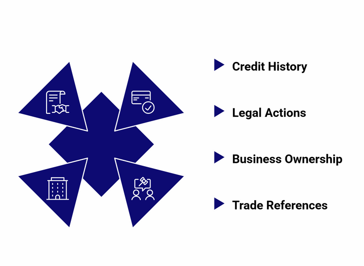 Four blue triangles showing icons for credit history, legal actions, business ownership, and trade references.